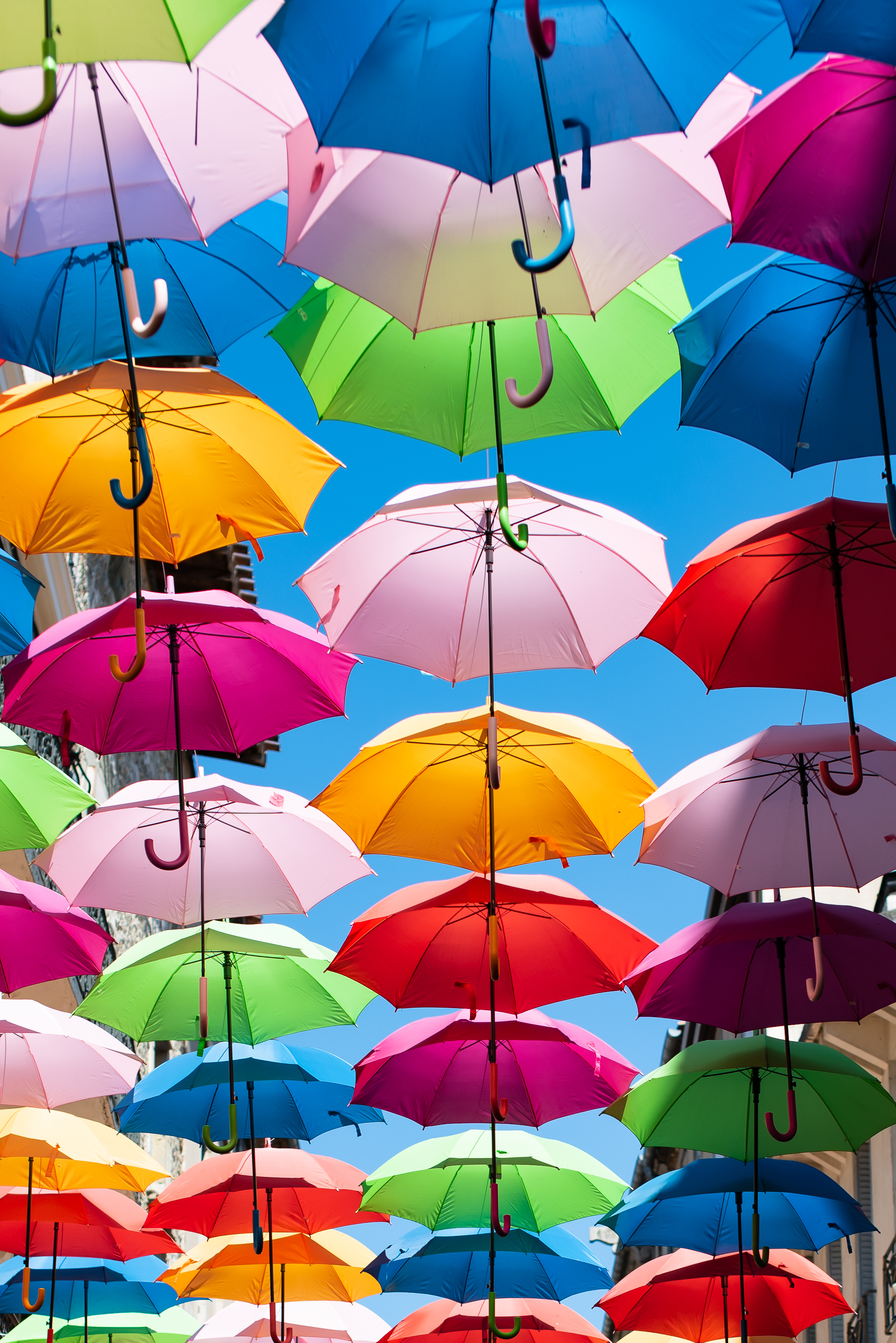 Postpone Your Wedding to a Different Season Low angle Photo Colorful Umbrella Street Art