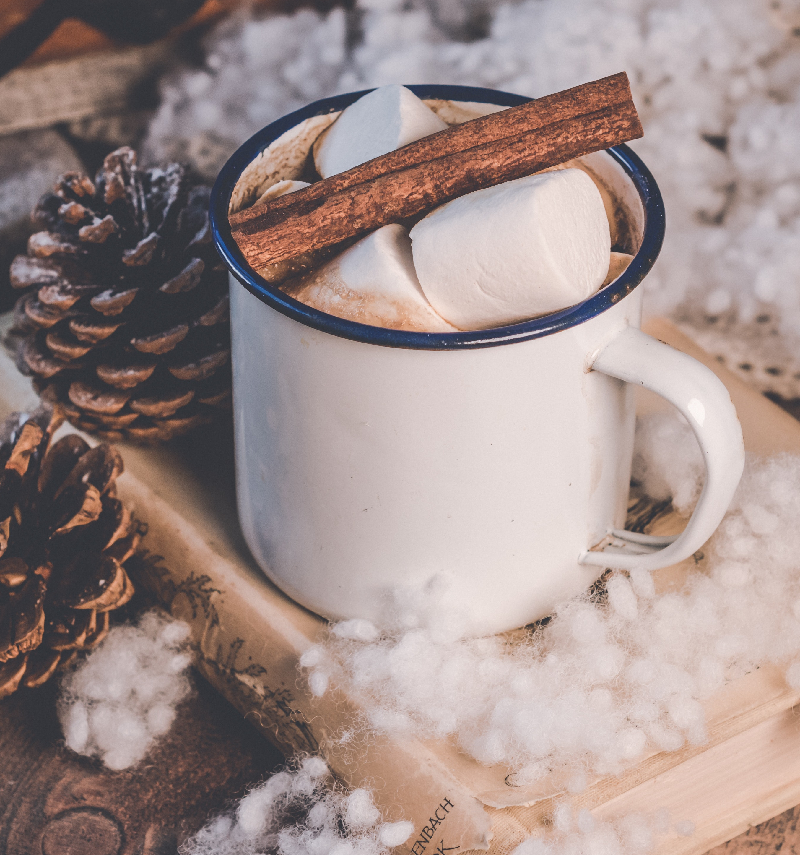 Postpone Your Wedding Different Season white ceramic mug cinnamon stick hot chocolate marshmallows