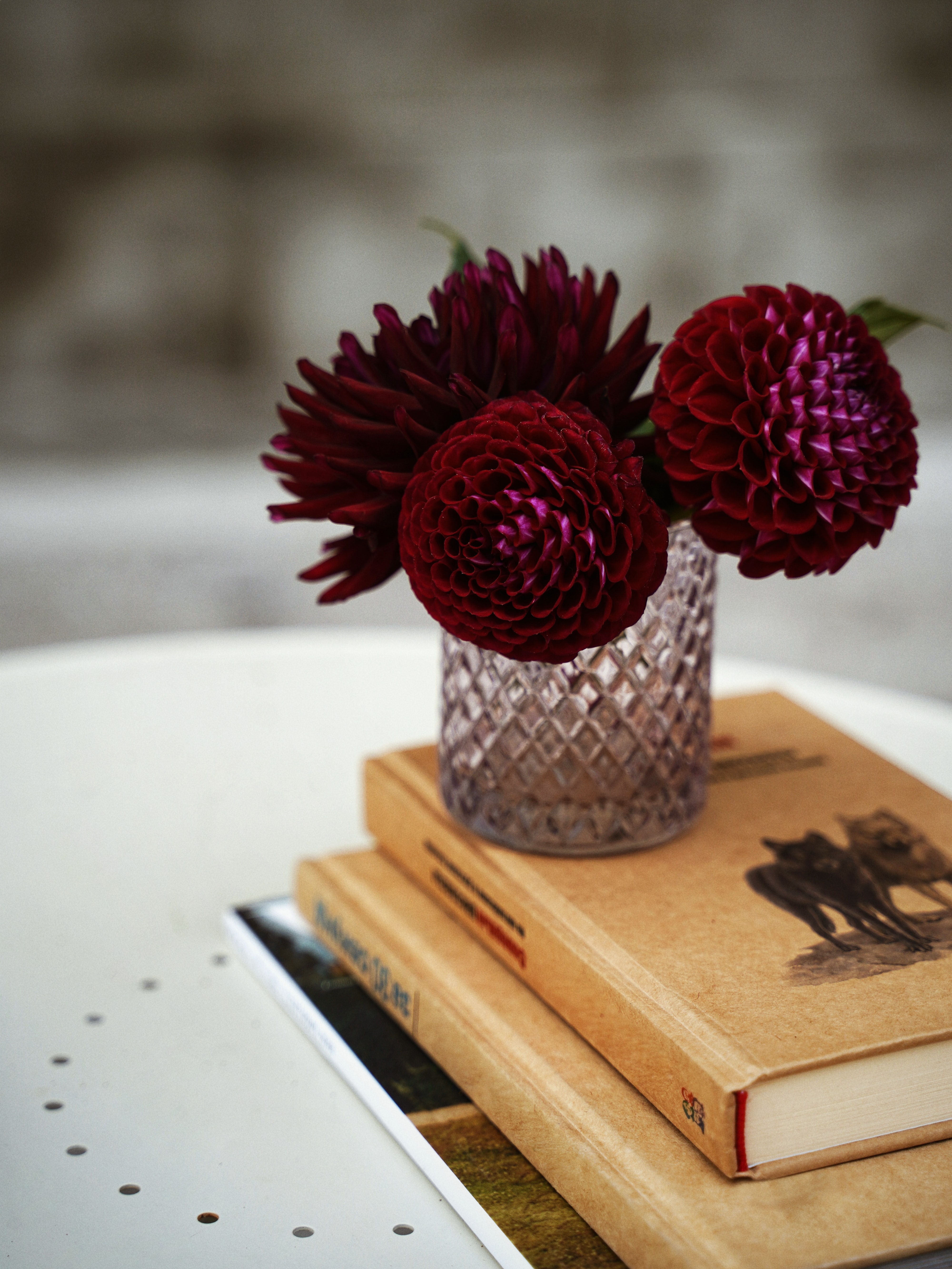 3 dark red dahlia flowers in a tumbler glass on top of 2 books